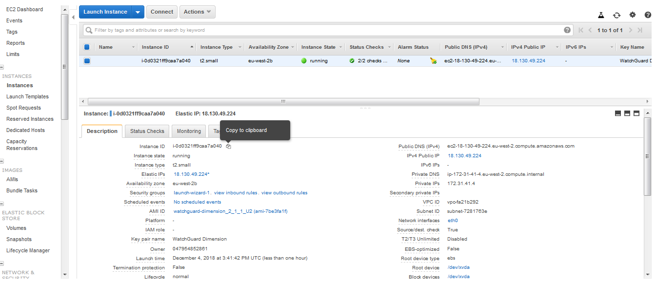 WatchGuard Dimension Setup on AWS 10